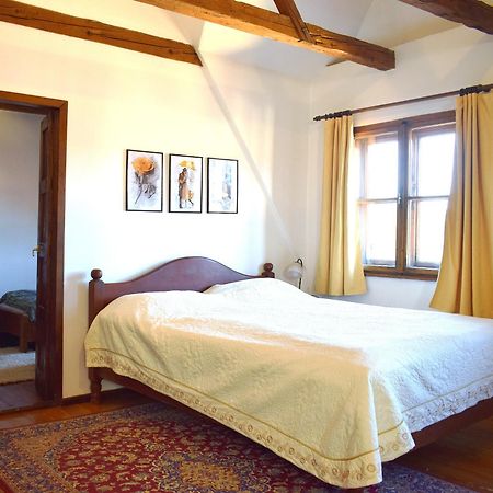 Casa Cojo Daire Sighişoara Dış mekan fotoğraf