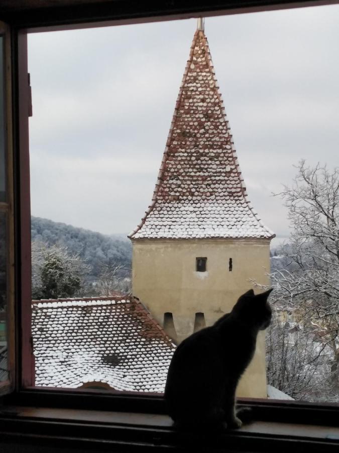 Casa Cojo Daire Sighişoara Dış mekan fotoğraf