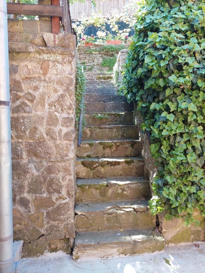 Casa Cojo Daire Sighişoara Dış mekan fotoğraf